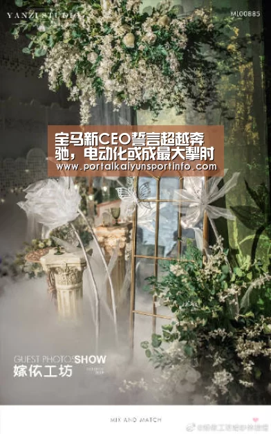 开云体育