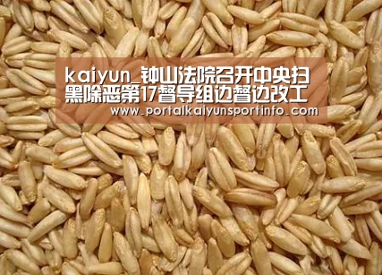 kaiyun_钟山法院召开中央扫黑除恶第17督导组边督边改工作推进会(图3)