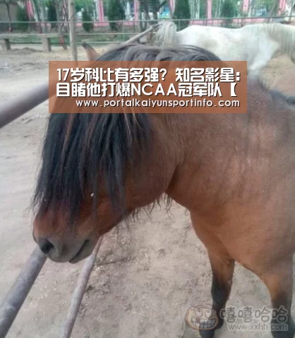 开云