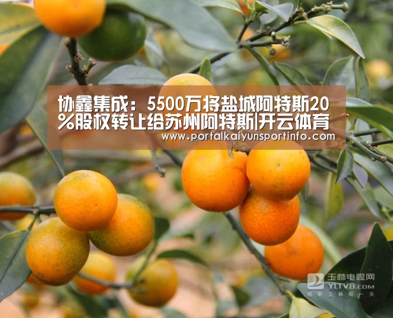 协鑫集成：5500万将盐城阿特斯20％股权转让给苏州阿特斯|开云体育(图1)