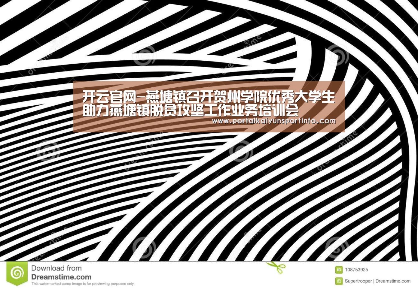 开云官网-燕塘镇召开贺州学院优秀大学生助力燕塘镇脱贫攻坚工作业务培训会(图2)