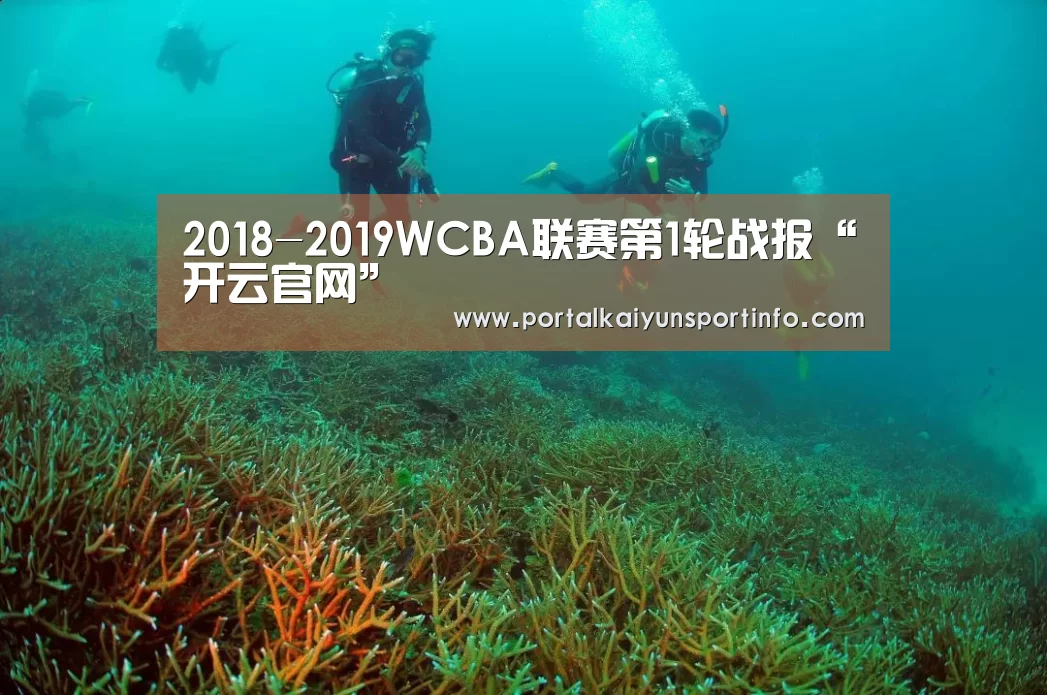 2018-2019WCBA联赛第1轮战报“开云官网”(图2)